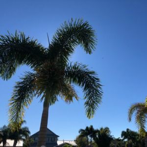 Meet your Posher, Luke